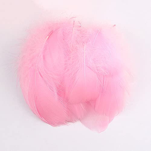 Duories 100 Stück Bunte Feder zum Basteln Naturfedern Gänsefedern Indianer Bastelfedern für DIY Kunstwerk Masken Hüte Ohrringe Haarschmucken Traumfänger Hochzeit Karneval Party Dekoration,7-12cm Rosa