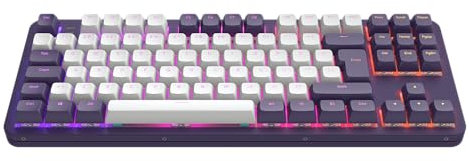 Dark Project Teclado mecánico para juegos ALU87A VIOLET | ISO multilingüe | Interruptores engrasados G3MS Sapphire | Estabilizadores engrasados | Montaje de junta flexible | Aluminio | TKL 80% | RGB |