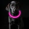 Coolzon LED Leuchthalsband Hundehalsband Aufladbar, Wasserdicht Halsband Hund 3 Modi, Leuchtband Hund Halsband Längenverstellbareres Super Helle Kalsband Katze und Hunde Klein Groß Mittel, Rosa