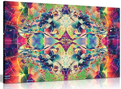 Psychedelic Trippy Art Colour Explosion Canvas Wall Art Picture Print (30x20in)