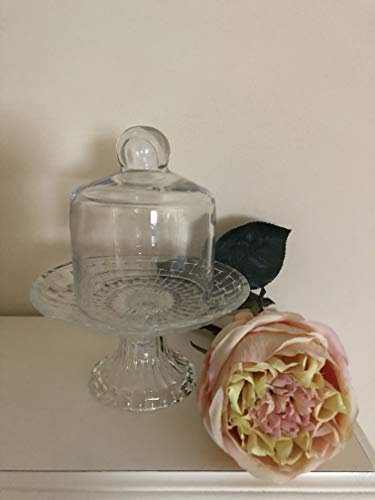 Alzata per torte con campana in vetro trasparente shabby chic, bianco anticato