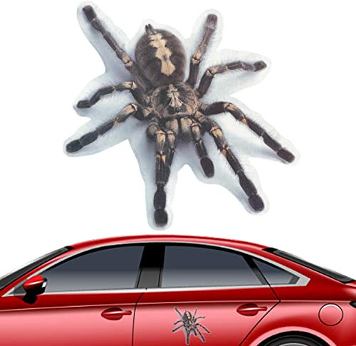 Jimtuze Auto Aufkleber Spinne Skorpion Aufkleber,Tier-Laptop-Wand-Fenster-Autoaufkleber - Autofenster Stoßstange Außen Aufkleber Aufkleber für Autofenster