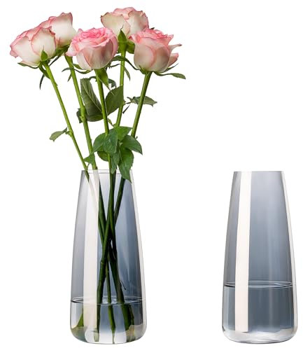 YBCPACK 2 Pack Grey Glass Vases for Flowers, Bouquet,22cm Tall Glass Flower Vase for Living Room,Bedroom,Table Decoration,Cute Glass Tulip Vase