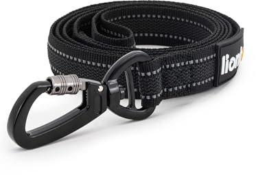 lionto Führleine für Hunde, 120 cm, gummierte Leine mit Handschlaufe und 360° Metallkarabiner mit Sicherheitsverschluss, reflektierende Hundeleine aus robustem, wetterfestem Nylon, schwarz