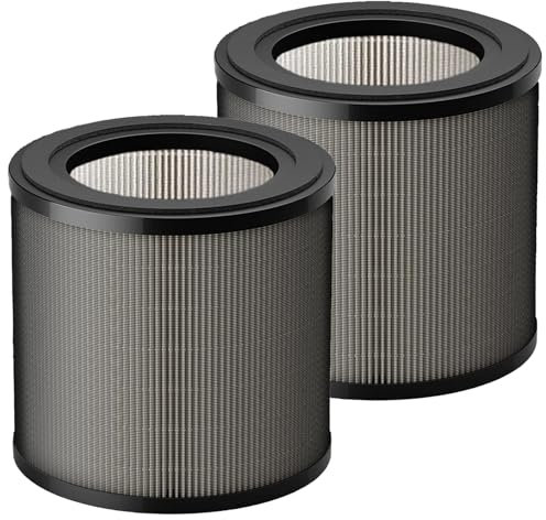 FY0900 Replacement Filter for Philips 900 Series Air Purifier AC0920/10 AC0921/14 2-in-1 H13 Replacement HEPA Filter FY0900/30 Air Filter (Pack of 2)