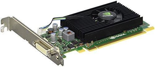 HP E1C65AT NVIDIA NVS 315 1GB Carte Graphique - Cartes Graphiques (Active, NVIDIA, NVS 315, DDR3-SDRAM, PCI Express x16)
