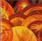 ROADRUNNER RECORDS