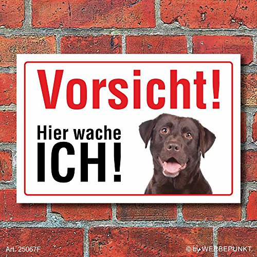 Vorsicht Hier wache ich, Labrador, Hund, Schild, Hinweis, 3 mm Alu-Verbund Motiv 1 300 x 200 mm