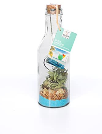 QUAI SUD Mélange Pour Cocktail | 140g | En Carafe - Blue Lagoon