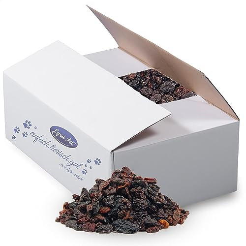 Lyra Pet® | 10 kg Futterrosinen | Rosinen für Wildvögel | Kraftspendendes Streufutter | Vogelfutter für Sommer & Winter | Vitaminreich & Kraftspendend | Delikatesse für Vögel | Ideal für Vogelhäuser