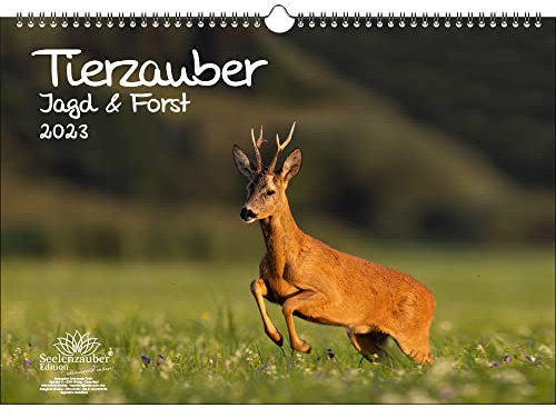 Tierzauber Jagd & Forst DIN A3 Kalender für 2023 - Seelenzauber
