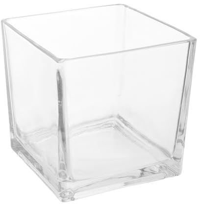 Cristal Jarrón Cúbico para Flores Transparente y Plantas | Vidrio Grueso, Diseño Sencillo y Chic, para Salón y Dormitorio, Decoración Moderna de Escritorio