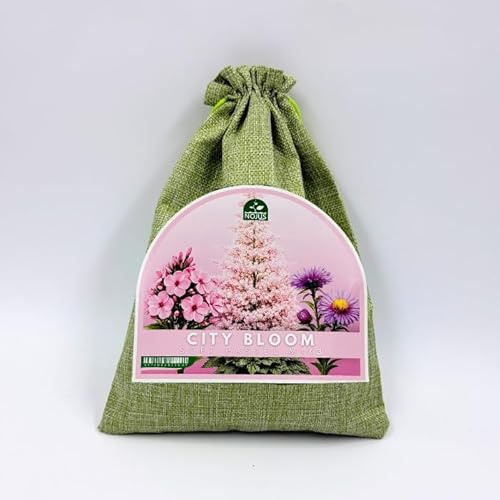 Nojus City Bloom Soft Pastel Mix – 3 Plantas Perennes (Aster, Astilbe y Phlox) – Flores en Tonos Pastel para Jardín, Parterres y Zonas de Semisombra
