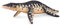 Liopleurodon Dinosaur