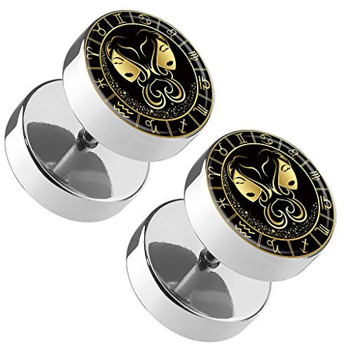 Piercingfaktor 1 Paar Fake Piercing Runde Ohrringe Ohrstecker Ohr Plug Flesh Tunnel mit Sternzeichen Motiv Tierkreiszeichen Zwillinge