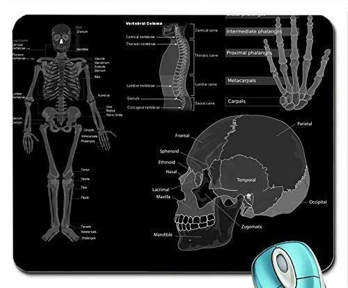 Kunst-Schädel-Wissenschafts-Medizin-Anatomie-Graustufen-Knochen-Mausunterlage Computer Mousepad