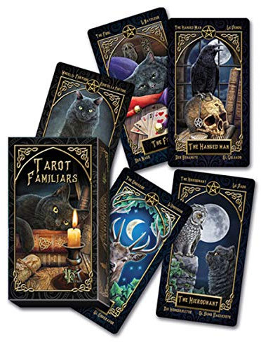 Les Trésors De Lily [A1350 – Tarot Schöpfer 'Familiars' Schwarz Grau – 11,5 x 6 x 3 cm