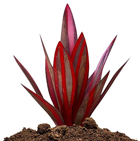 Metall-Agave-Gartenkunst, Metall-Blumengartenstatue, 53,3 cm – handbemalte Agave-Garten-Statue, Rasen-Ornamente für den Außenbereich
