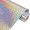 VINYL FROG Holographic Heat Transfer Vinyl Glitter Silver HTV Vinyl 30.5x155cm Rainbow Iron on Vinyl for DIY Clothing and Other Fabric