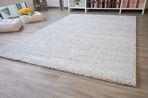 Steffensmeier Designer Teppich Modern Nancy in Hellgrau, Größe: 80x150 cm