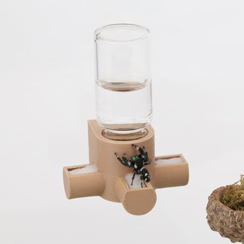 Daerky Jumping Spider Water Dispenser, Magnetic Hanging Feeder,Suitable for Jumping Spiders,Tarantulas, Praying Mantises,Arboreal Animals, and Other Small Animal Enclosure Accessories,5ML (Wooden)