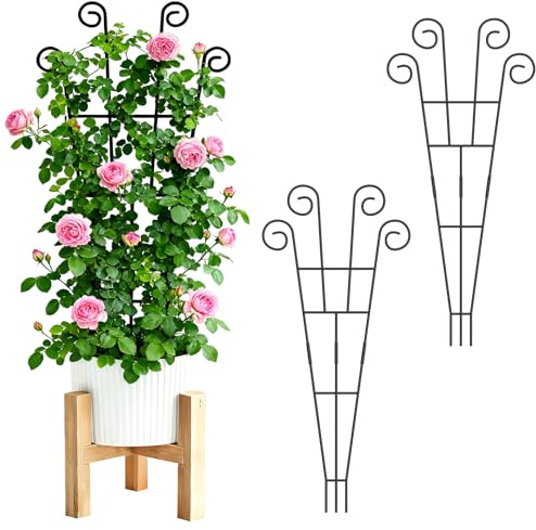 WELDUN 2 Pack Plant Trellis 75CM for Climbing Plants Potted Plants Indoor Outdoor, Metal Support Stake for Vegetables, Roses & Vines