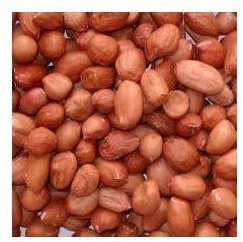 5kg bag wild bird peanuts, FREE Express delivery