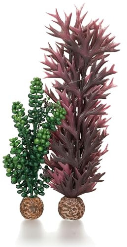 biOrb 55073 Seeperlen & Seetang olivgrün – Aquariendeko aus zwei künstlichen Wasserpflanzen, Einrichtung von Süßwasseraquarien und Meerwasseraquarien