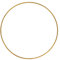 Rayher 2505206 Metallring, gold beschichtet, 20 cm ø, Stärke ca. 3 mm, Drahtring zum Basteln, für Wickeltechnik, Traumfänger Ring, Makramee Ring, Floristik