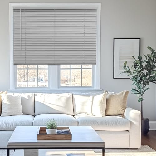 CHICOLOGY Mini tende in vinile senza fili da 2,5 cm, filtro della luce veneziana orizzontale, oscurante, perfette per cucina/camera da letto/soggiorno/ufficio e altro ancora, 68,6 cm di larghezza x