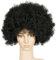 Herren Perücke, 1 Stück Hippie Kostüm Afro Perücke, Erwachsenenperücke Club, lockiges Kunsthaar, Für Cosplay, Halloween, Kostümfeste Usw, Schwarz, Eine Grösse passt allen