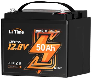 LiTime Batterie LiFePO4 12V 50Ah avec Bluetooth 5.0 et Protection Basse Température - BMS 50A, 15000 Cycles, Mini Taille Parfaite pour Moteurs de Pêche, Bateaux, Camping-Cars et Systèmes Solaires