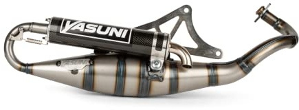 Auspuff Yasuni Scooter R Carbon für Piaggio