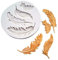 Flybloom Silikonformen Feder Form DIY Fondant Schokolade Sugarcraft Plätzchenform Kuchen Dekor Backen Werkzeuge