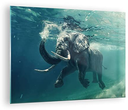 Bilder auf Glas Elefant Tier Wasser Glasbild 70x50cm Wandbilder Dekoration Wohnzimmer Schlafzimmer Küche Deko Klein Wanddeko Bild im Glas Wand Kunstdruck Art Modern Wall Decor Glasdruck GAA70x50-3944