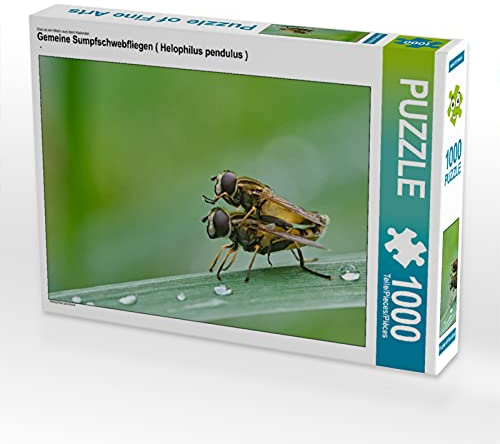 CALVENDO Puzzle Gemeine Sumpfschwebfliegen (Helophilus pendulus) | 1000 Teile Lege-Größe 64 x 48 cm Foto-Puzzle für glückliche Stunden