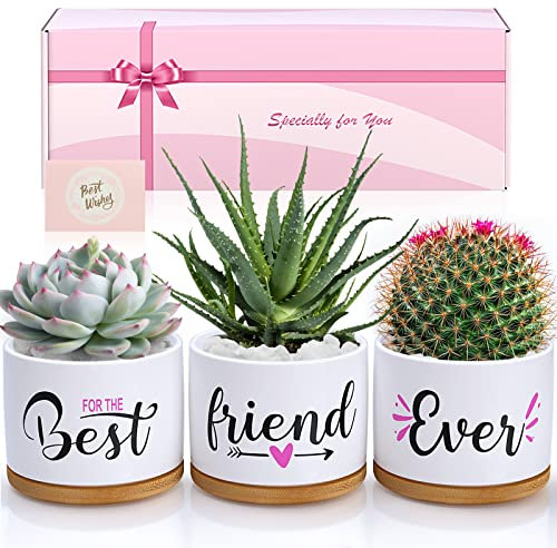 Best Friend Birthday Gifts for Women, BFF Friendship Gifts for Women & Men, Best Friend Ever Succulent Pots for Plants Indoor Outdoor, Gift Boxed Ceramic Planter Gift Set for Friends Female Bestie
