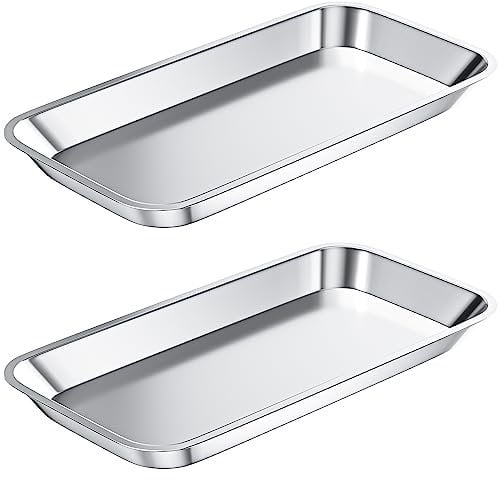 2 PCS Stainless Steel Tray for Lab Intrument Supplies Tools