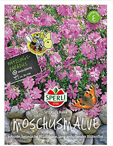 Malven (Moschus Malven) SPERLING`s Rosa, robuste heimische Wildblume, lang anhaltender Blütenflor