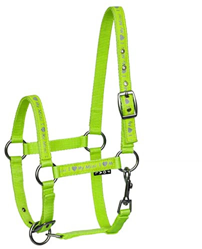 Start ILoveMyMini Reithalfter für Fohlen, verstellbar an Kinn- & Genickstück Fohlenhalfter, Halfter für Fohlen - Halfter für Mini Shetty Halfter für Holzpferd (Foal, Grün)