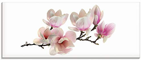 ARTland Wanddeko Glasbilder Wandbild Glas Bild einteilig 125x50 cm Querformat Natur Asien Botanik Blumen Blüten Magnolie Rosa S6DR