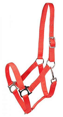 PFIFF 102266-10-Cob Halfter -Udine- Pferdehalfter Nylonhalfter Vollblut, M, rot