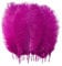 10pcs Ostrich Feathers, 10-12inch (25-30cm) Natural Ostrich Feathers Plume for Craft Home Wedding Theme Party Christmas Decoration (Fuchsia)
