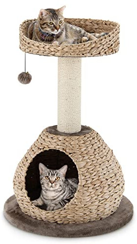 GYMAX Arbre à Chat 71cm avec Grattoir en Sisal, Plateforme Supérieur et Niche pour Chat, en Jacinthe d'eau avec Jouet Suspendu