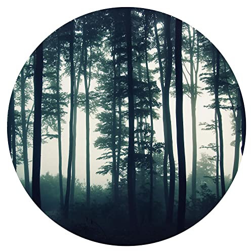 murando - Rond Papier peint Motif Rétro années - 140x140 cm Décoration Murale XXL Original Poster Tableaux Muraux Tapisserie Photo Trompe l'oeil - forêt dans le brouillard fleurs plantes c-B-0223-bg-a