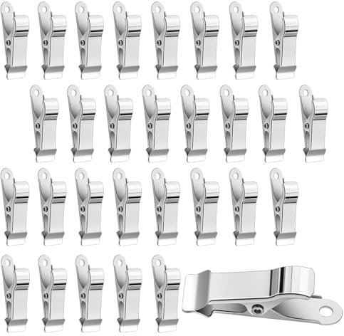 ROSYLEVE 30 Pièces Mini Pinces Métalliques, Pinces à Linge Pinces Crocodile Large Pince en Acier Inoxydable Pinces Crocodile pour Photos Rideaux Vêtements Collations Artisanat Argent