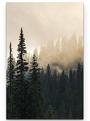 Eau Zone Wandbild auf Leinwand 90x60cm Wald im Nebel