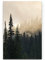 Eau Zone Wandbild auf Leinwand 90x60cm Wald im Nebel