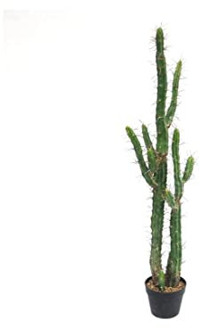 bambussi Kaktus Euphorbia 120cm künstliche sukkulente im Topf - 120cm hoher künstlicher Kaktus ideal für mexikanische Dekorationen