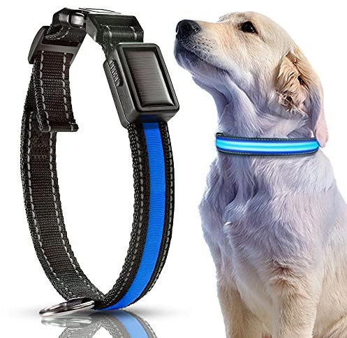 DN DENNOV LED Solar Leuchthalsband Hunde Halsband Leuchtend Hundehalsband USB Wiederaufladbar, Wasserdicht Leuchthalsband für Klein Mittleren Großen und Langhaarigen Hund (L, Blue)